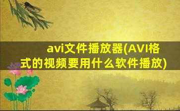 avi文件播放器(AVI格式的视频要用什么软件播放)
