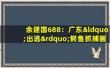 余建国688：广东“出逃”鳄鱼抓捕画面曝光
